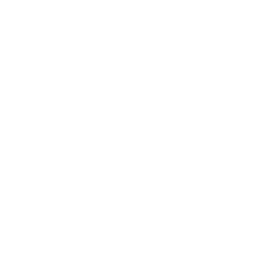 plane-alt